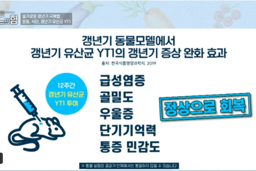 여성 갱년기 유산균 YT1