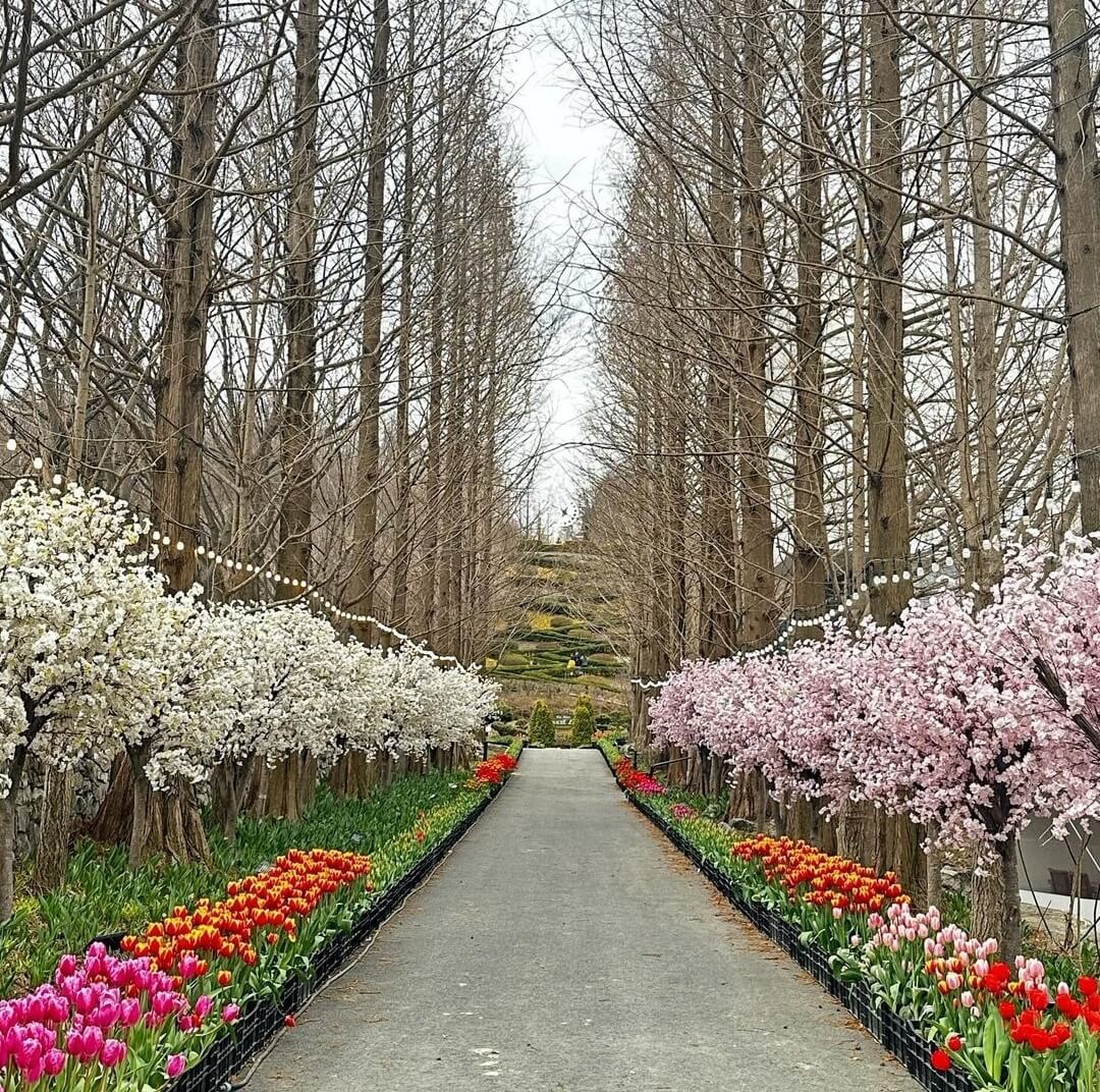 피나클랜드-전경