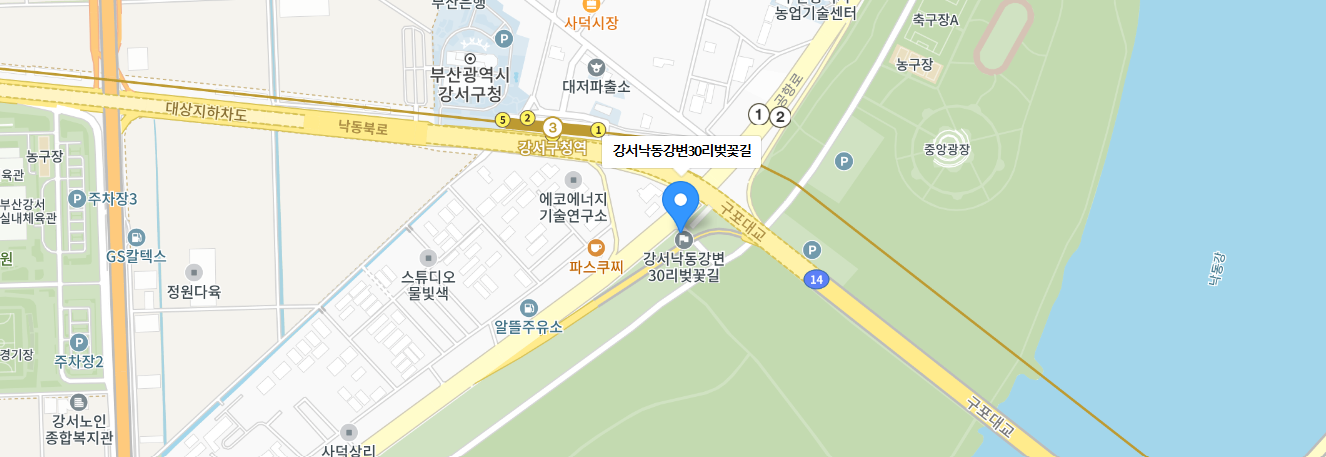 제8회 낙동강30리벚꽃축제