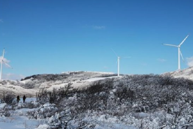대환장 기안장2 신청방법