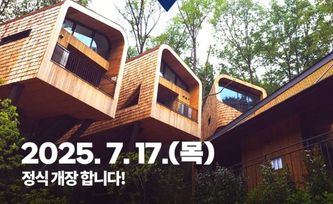 수락휴 트리하우스 예약