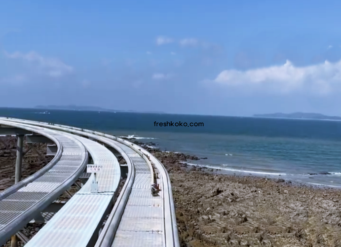 보령 가볼만한곳