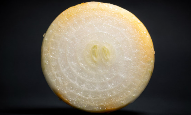 양파 효능