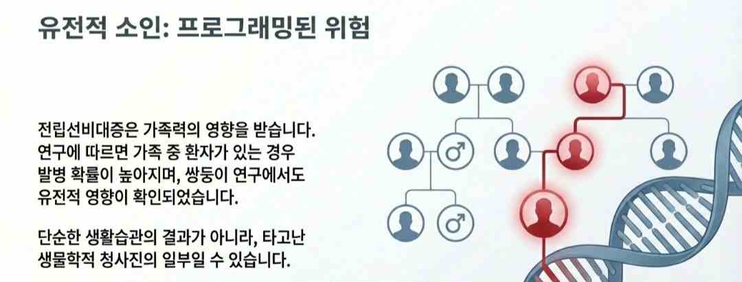 전립선비대증원인-사진7