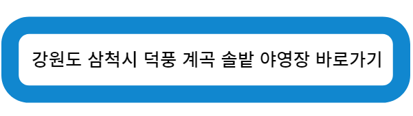 강원도 삼척시 덕풍 계곡 솔밭 야영장 바로가기
