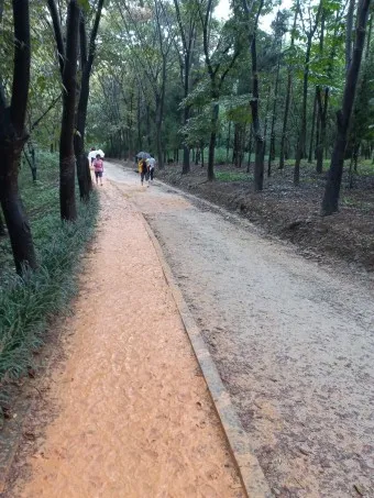 황토길 맨발걷기 효능 부작용 무좀_7