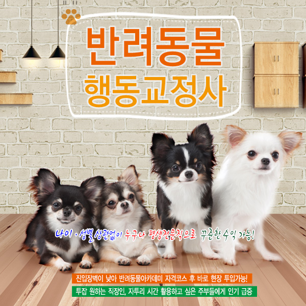 2025년 유망직종 1순위 반려동물행동교정사에 대한 이미지