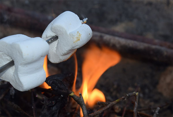 도봉 자연힐링 가족캠핑장 예약 방법&amp;#44; 요금 총정리