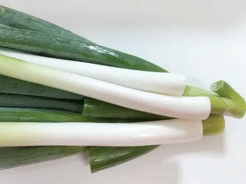 혈액 건강 유지 대파 효능