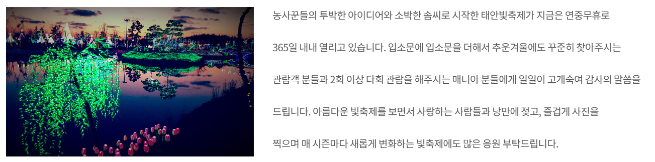 태안 빛축제 맛집 근처숙박 주차 꿀팁 총정리