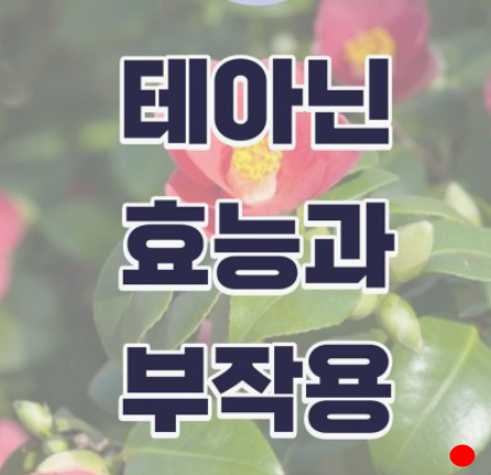 테아닌 효능