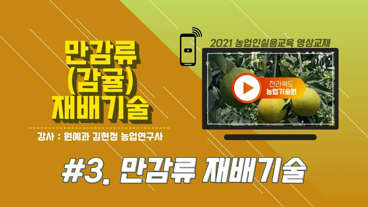 감귤 재배 노지 월동 비가림 하우스 관수 관리_3