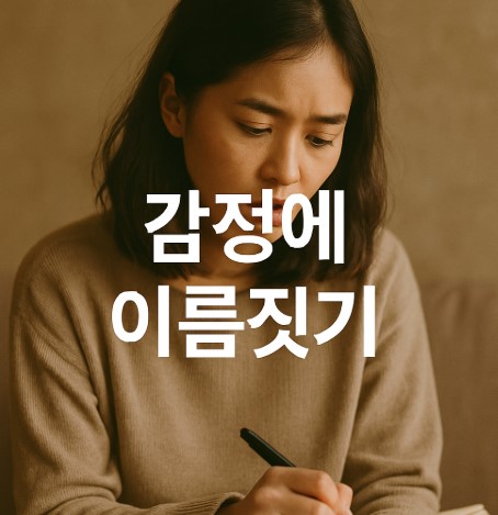 부정적인 감정에 붙이는 이름 (감정 인식, 감정 다루기, 자기이해)