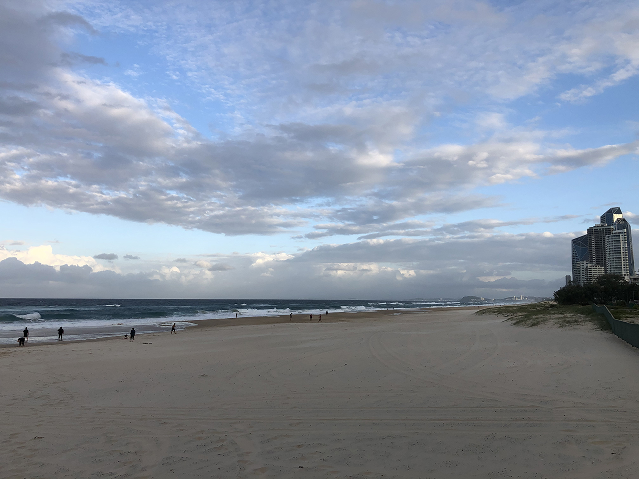 골드코스트 서퍼스파라다이스 해변