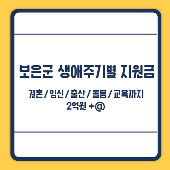 보은군 생이주기별 지원금