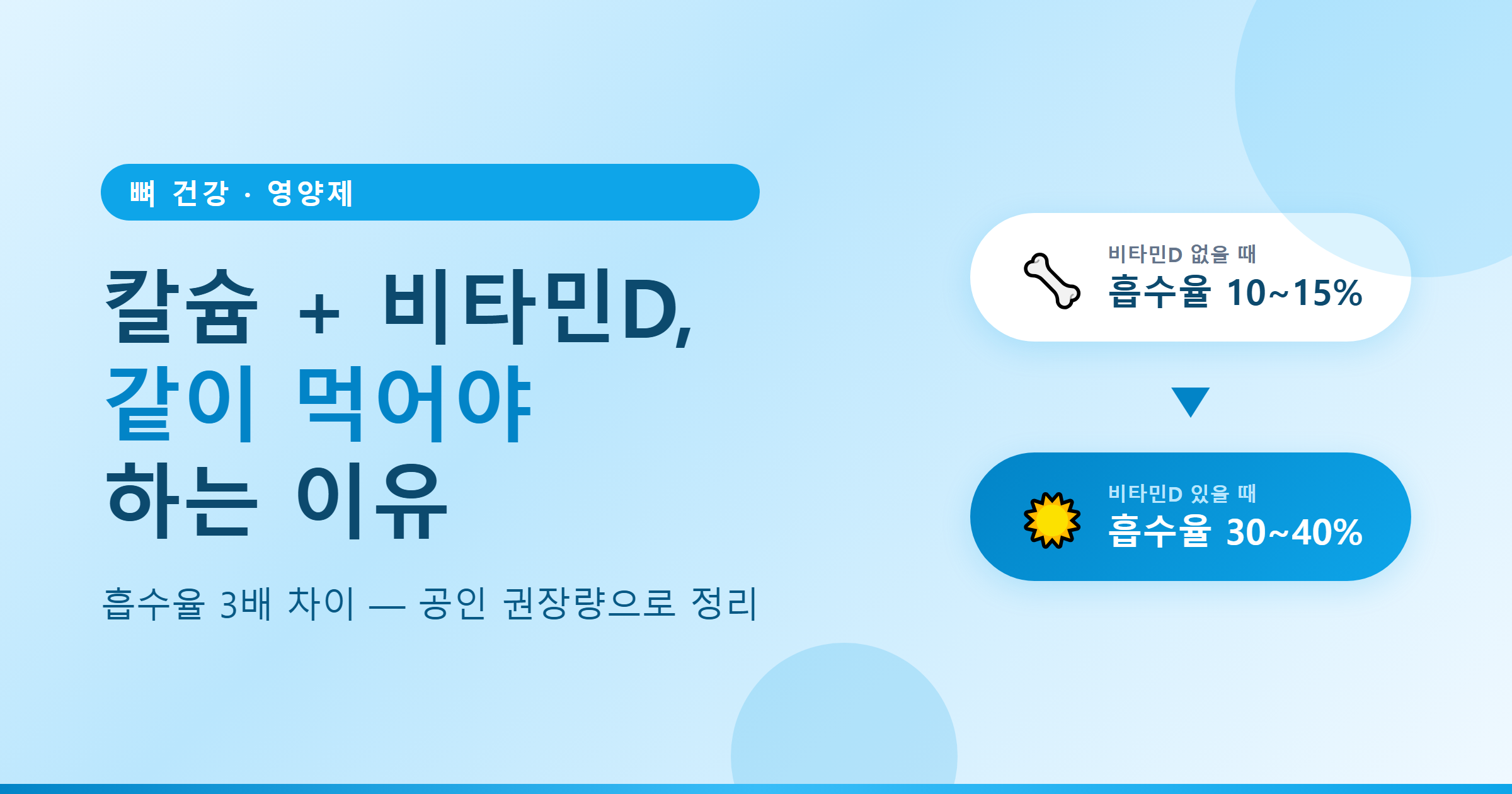 칼슘과 비타민D를 같이 먹어야 하는 이유 — 흡수율 비교 썸네일