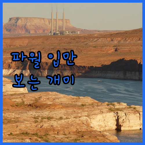 파월 의장 입만 쳐다보는 개미, 금리