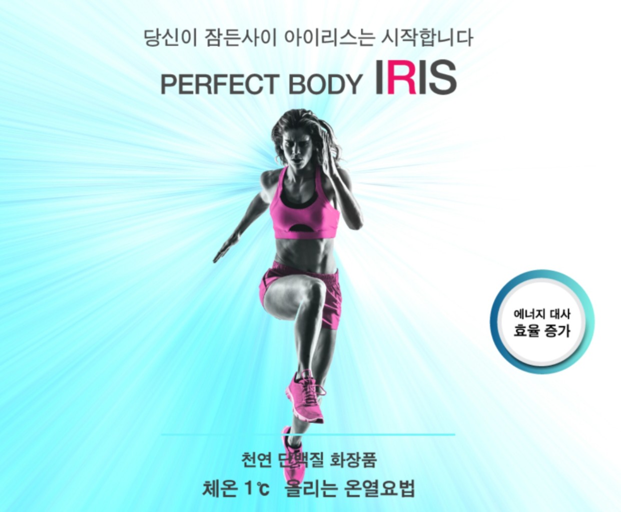 아이리스375