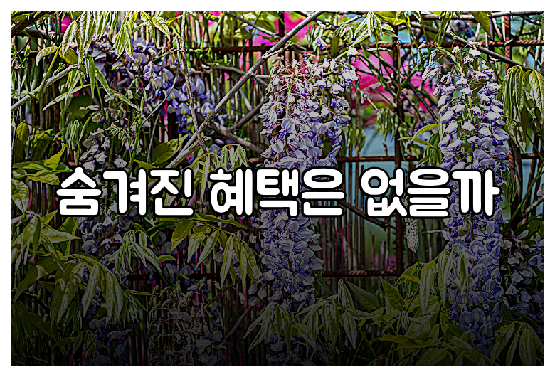 숨겨진 혜택은 없을까
