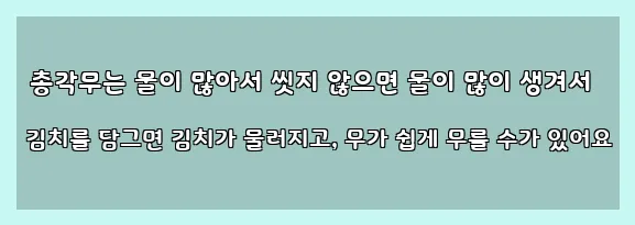  총각무는 물이 많아서 씻지 않으면 물이 많이 생겨서 김치를 담그면 김치가 물러지고, 무가 쉽게 무를 수가 있어요
