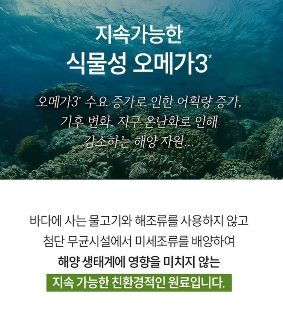 사진9