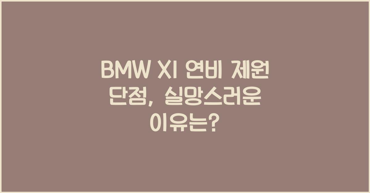 BMW X1 연비 제원 단점