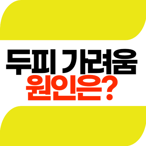 두피 가려움증 원인