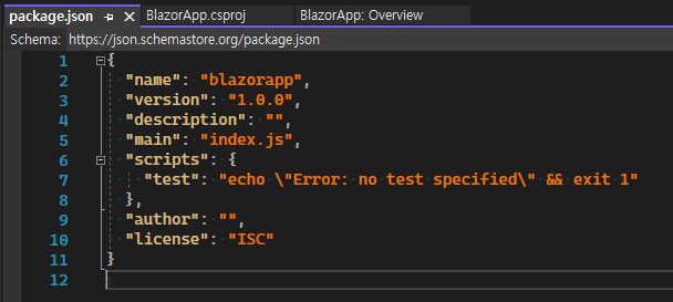 package.json