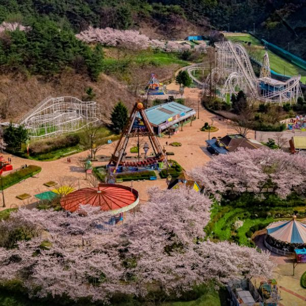 광주패밀리랜드 