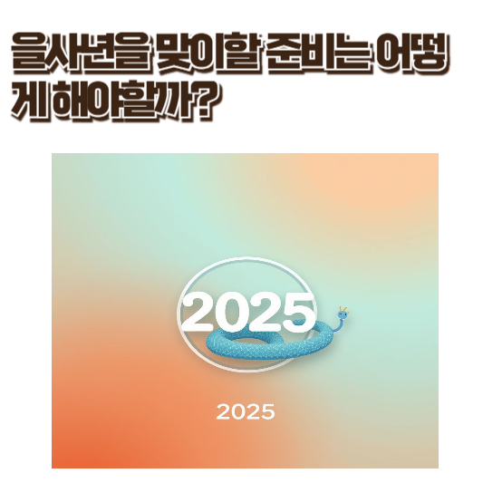 2025,청 뱀, 을사년을 맞이할 준비는 어떻게 해야 할까?