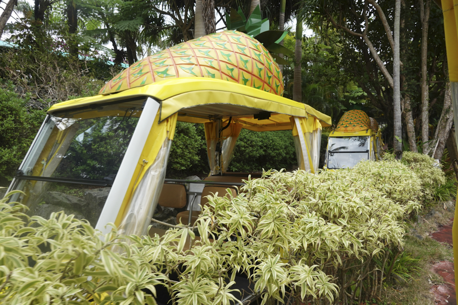 나고 파인애플카프 무인카트