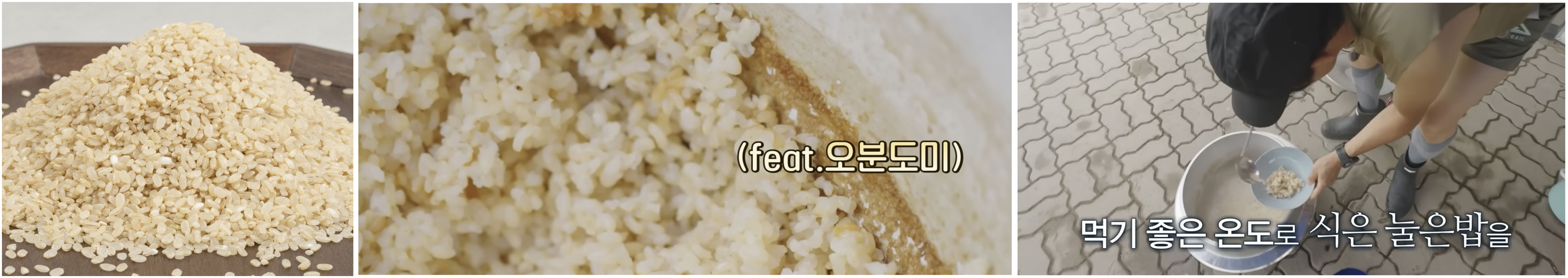 오분도미