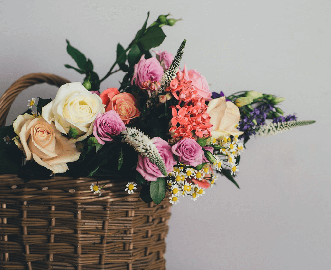 빼빼로데이 선물 추천