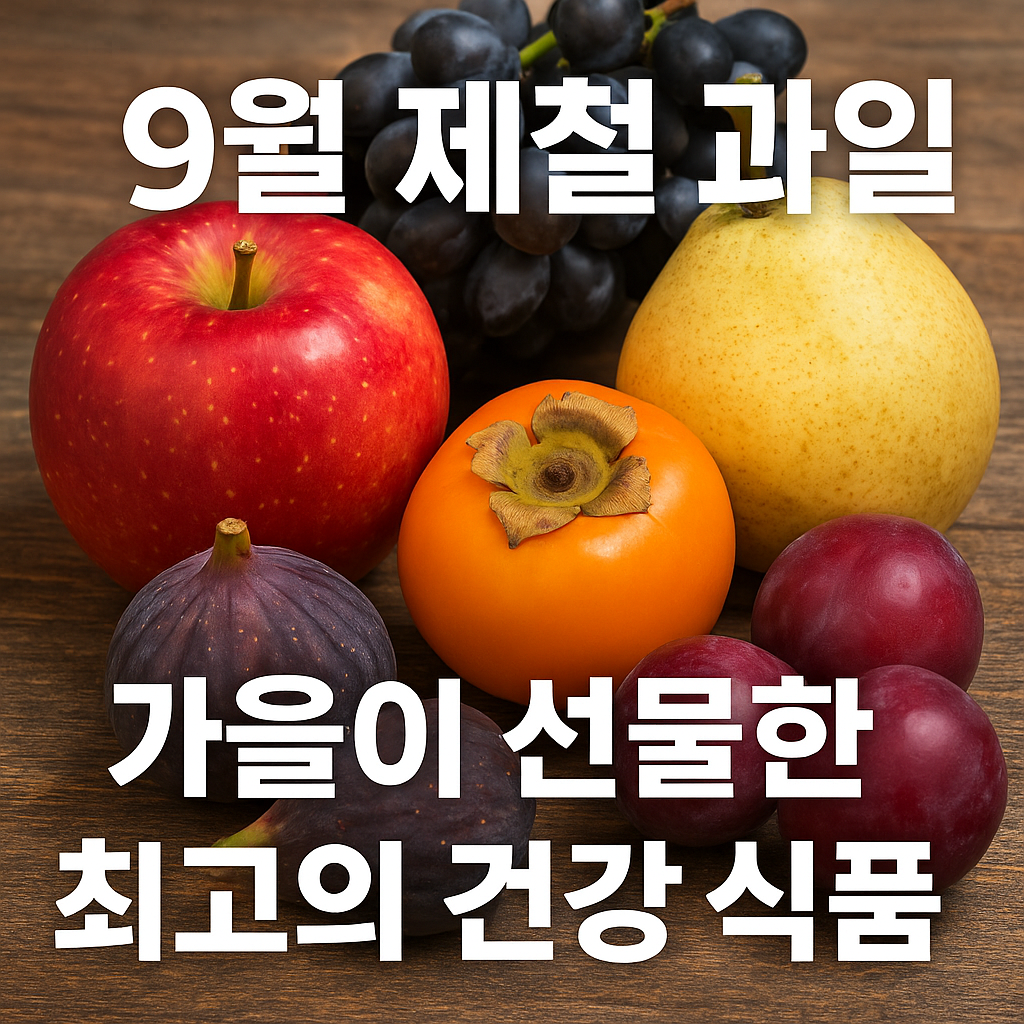 9월 제철 과일 7가지