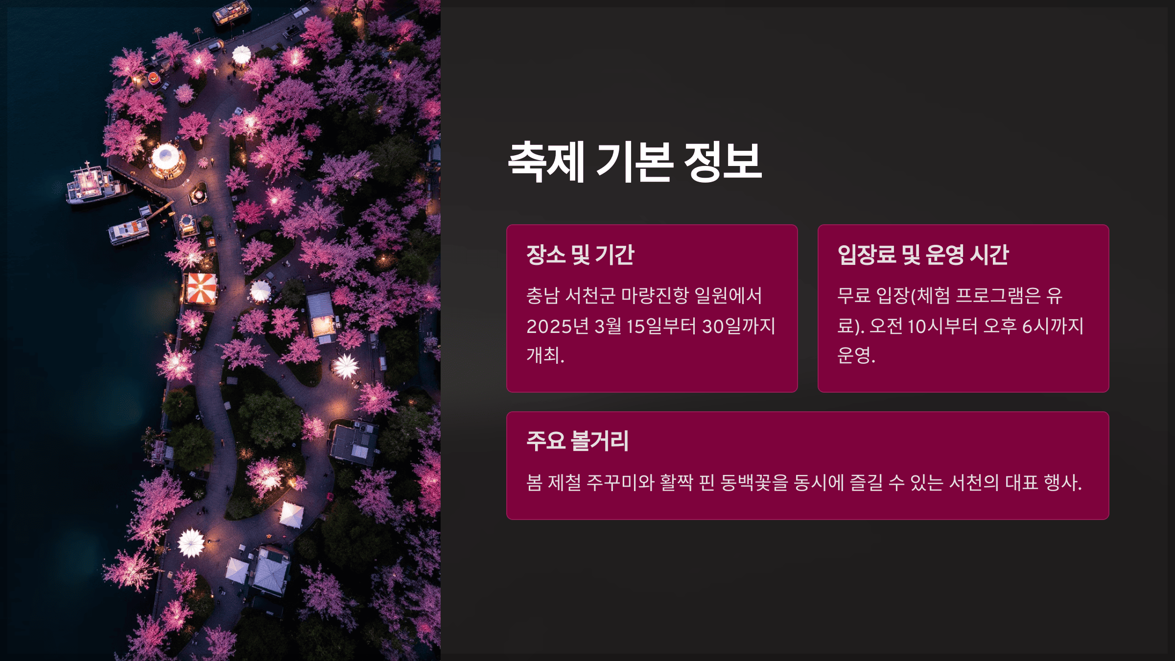 축제 기본 정보