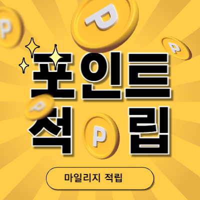 마일리지