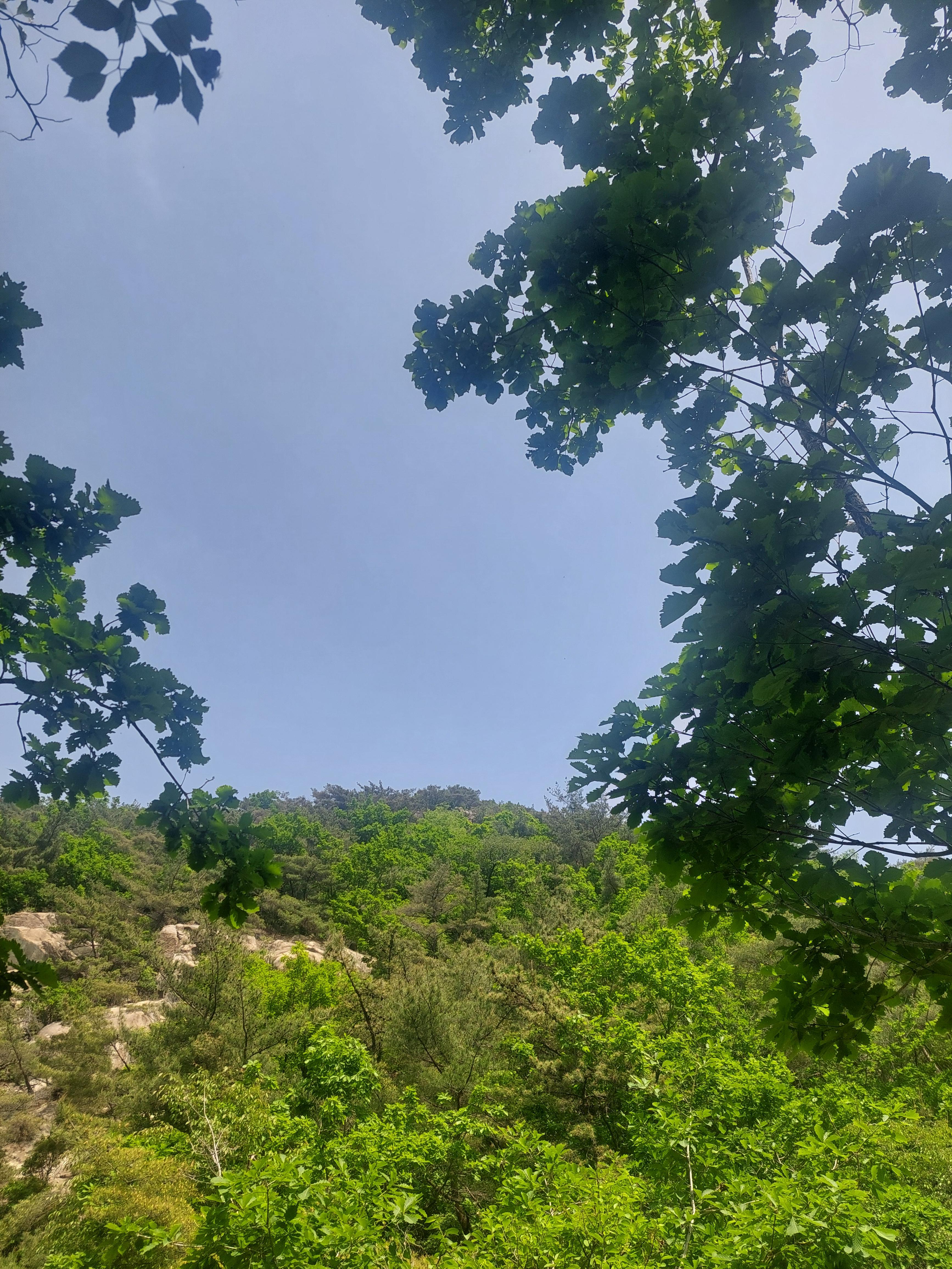 관악산 연주대
