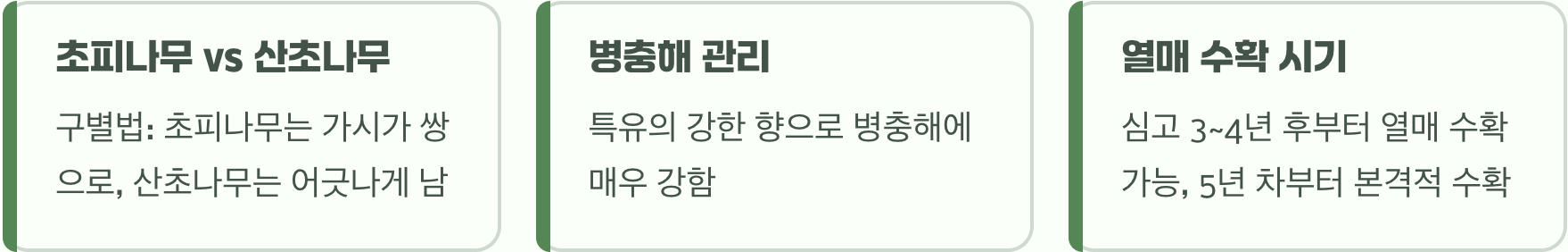 초보 농부 필독! 초피나무 키우기 A to Z (묘목 심기부터 열매 수확까지)