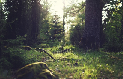 지속 가능한 여행의 필요성