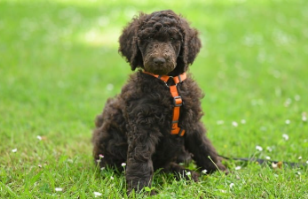 에너지 바우처 잔액조회 완벽 정리 14