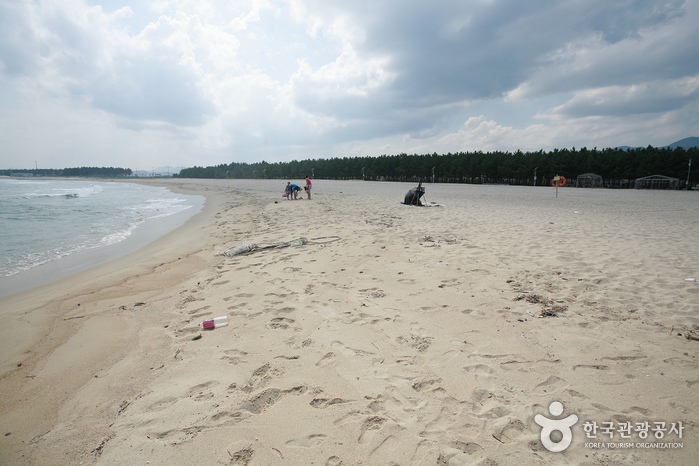 영덕 가볼만한곳 베스트10