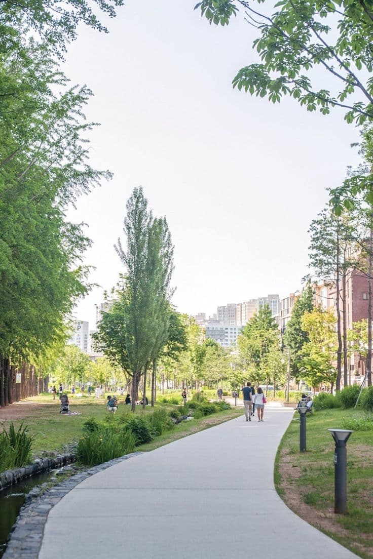 지붕 위 정원이 도시 온도를 낮추는 이유