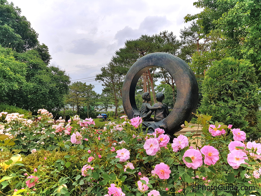 전주수목원장미