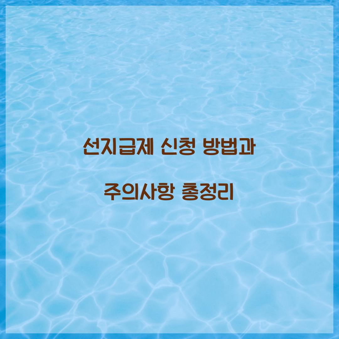 선지급제 신청