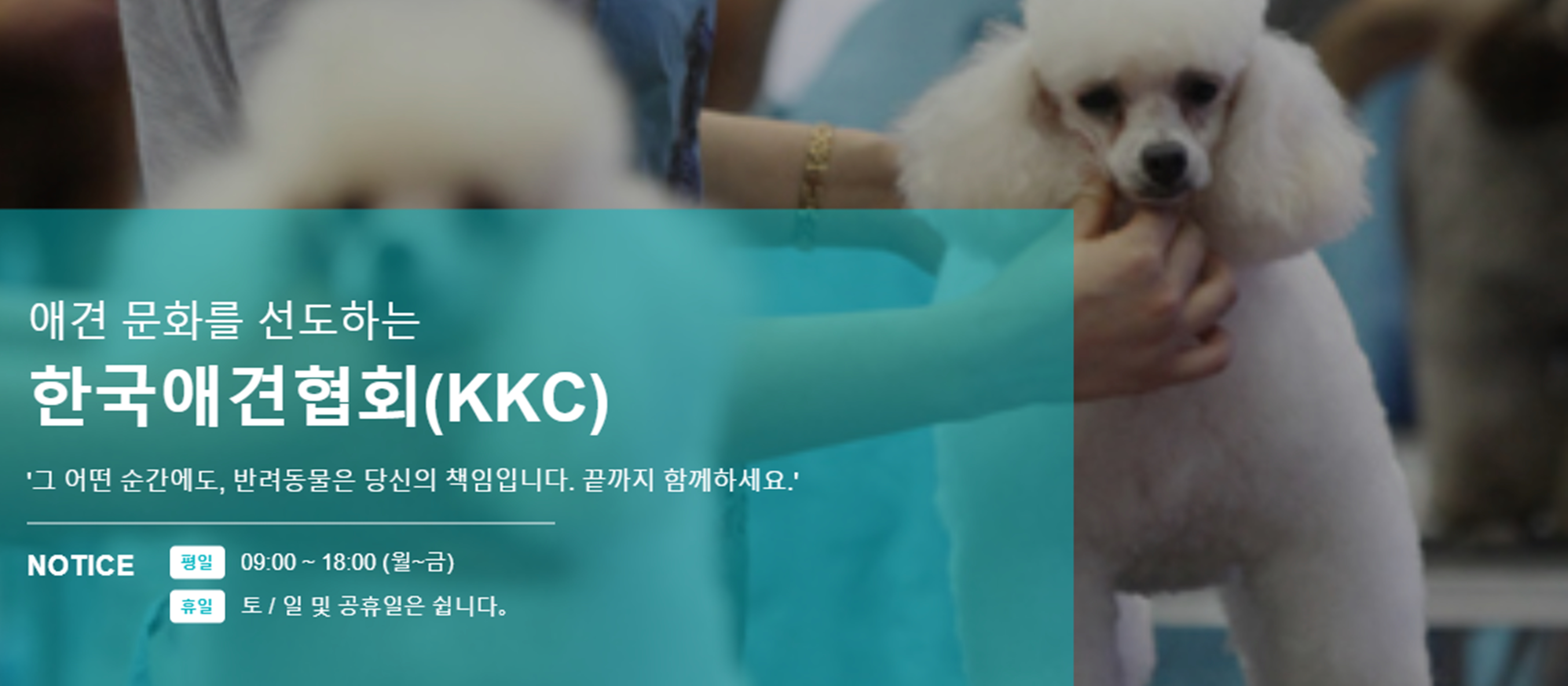 KKC자격증