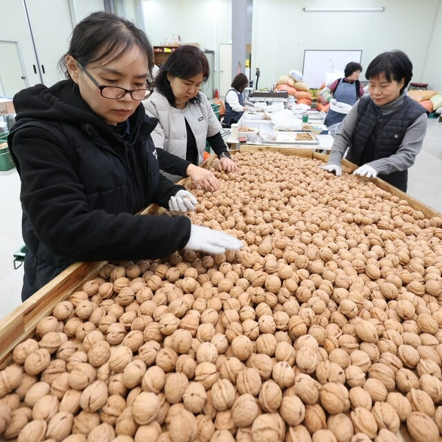 정월대보름 부럼의 의미와 종류