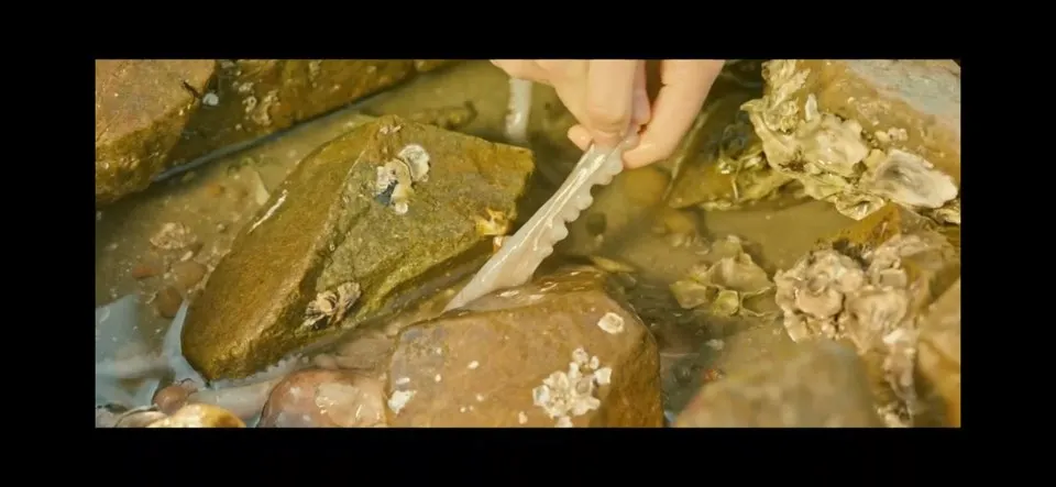 우연일까? 5회 줄거리