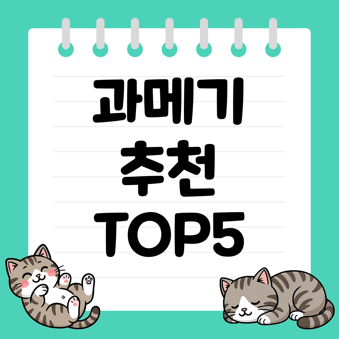 겨울 별미의 진수! 바다향 가득한 냉동 과메기 추천 순위 TOP5