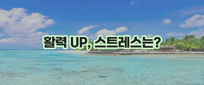 건강한 식단과 운동 에너지 UP 스트레스는 확실히 DOWN
