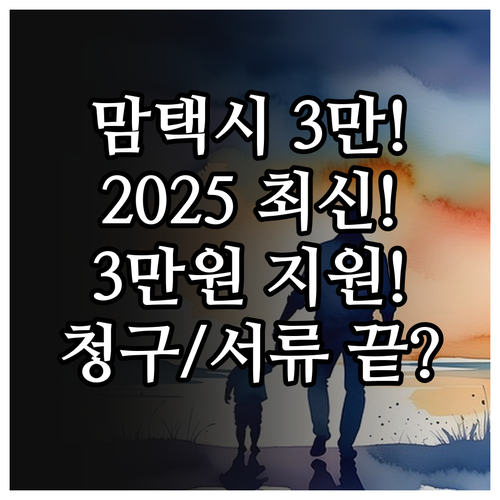 2025 맘택시 월 3만원 지원 지정..